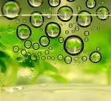 Vegetable oil: a DiY solution to fossil fuel pollution